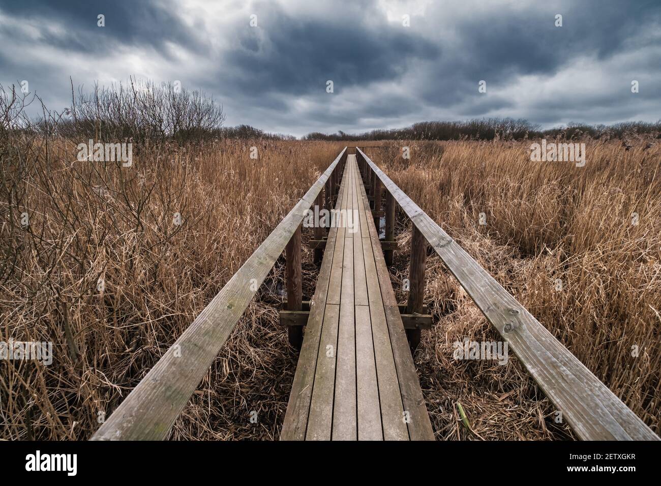 National Park Vejlerne walking paths in North West Denmark Stock Photo