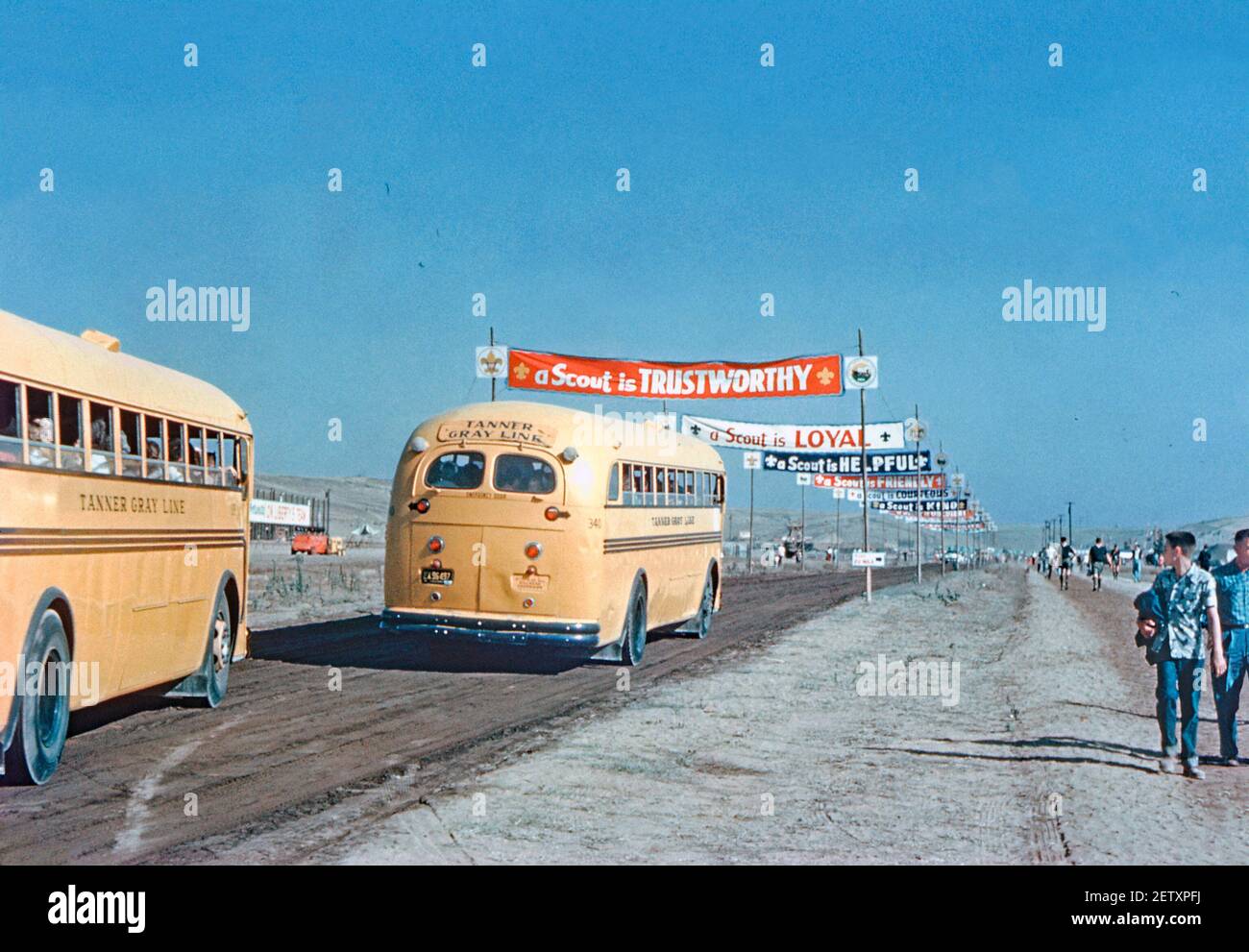 1950s bus vintage bus vintage buses hi-res stock photography and images -  Alamy