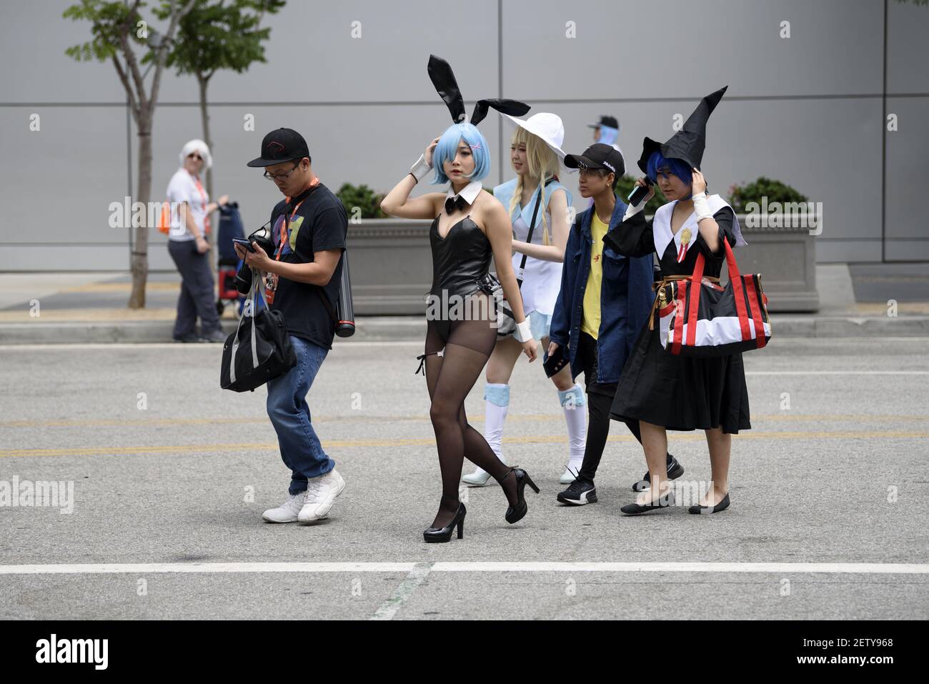 Anime Expo, Los Angeles Anime Convention