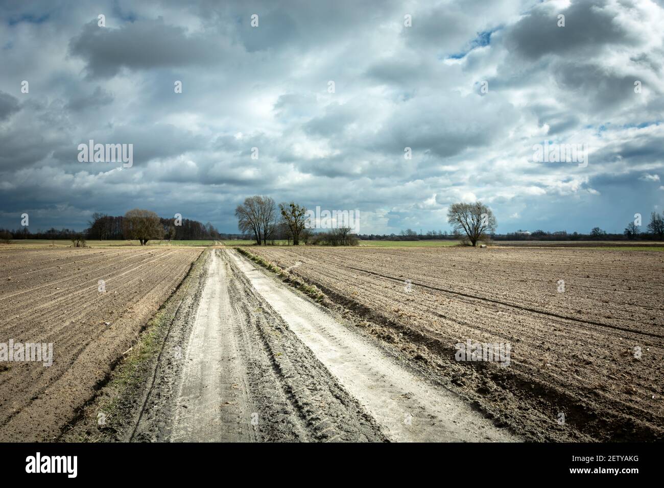 Dirt road in a plowed field and cloudy sky, Nowiny, Lubelskie, Poland