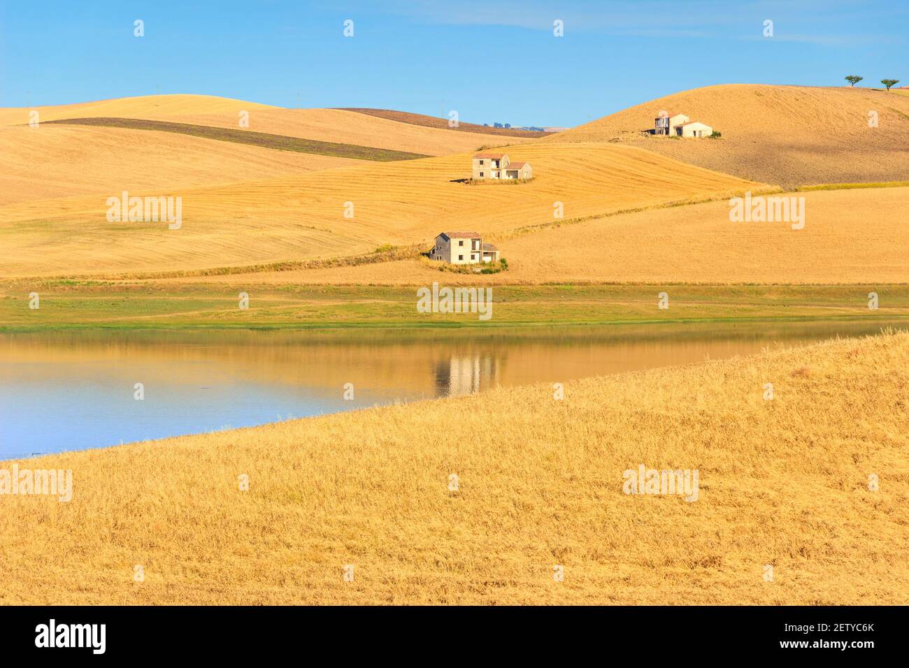 RURAL LANDSCAPE SUMMER. Between Apulia and Basilicata: Lake Basentello. Poggiorsini (ITALY) Stock Photo