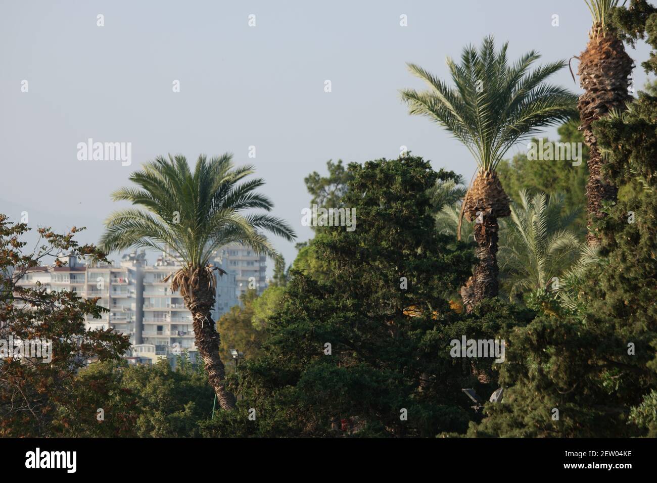 Urban landscape modern antalya town hi-res stock photography and images ...
