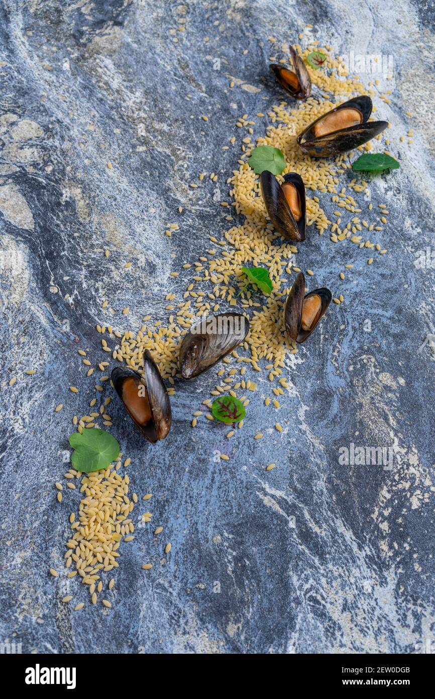 Raw mussels with spices on ice. On a blue background. Free space for text. Stock Photo