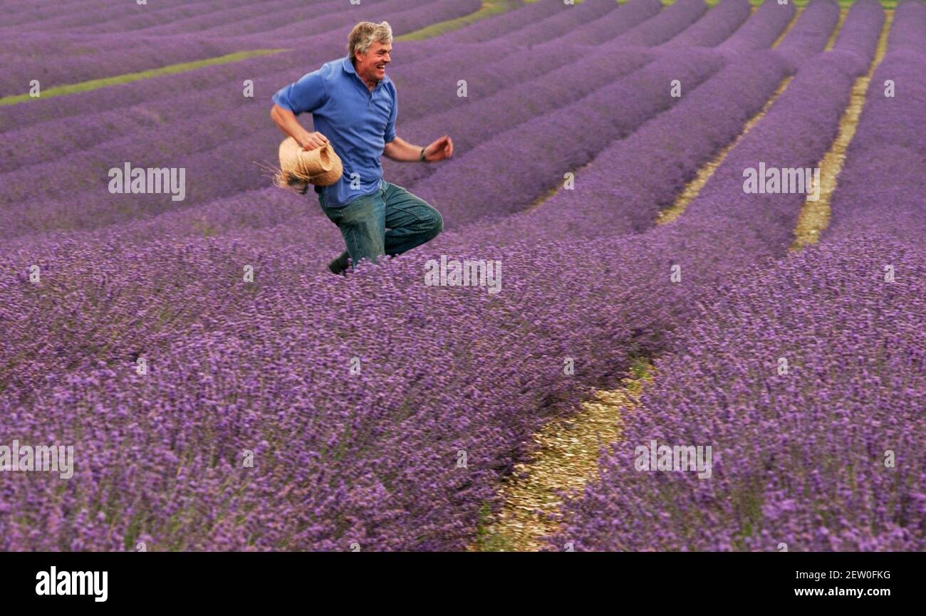 WILLIAM ALEXANDER IN ONE OF HIS LAVENDER FIELDS AT HIS FARM IN KENT.13/7/04 PILSTON Stock Photo