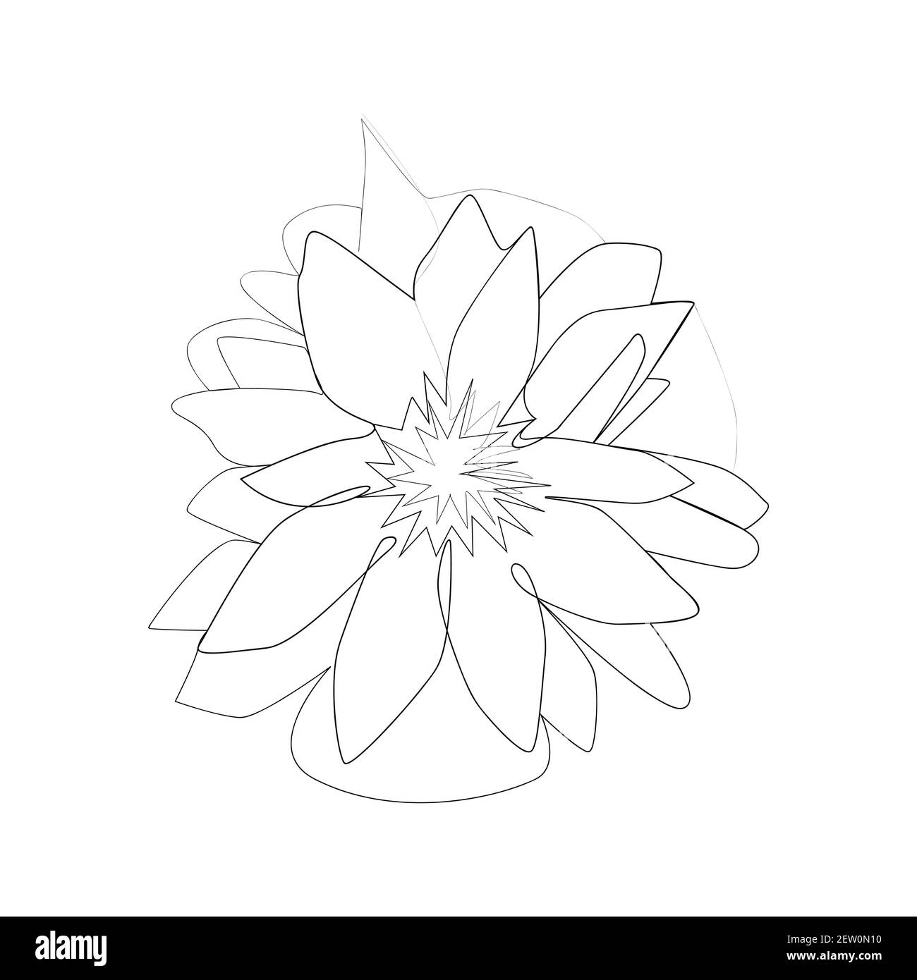 Line Drawing Water Lily Hi Res Stock Photography And Images Page 3 Alamy