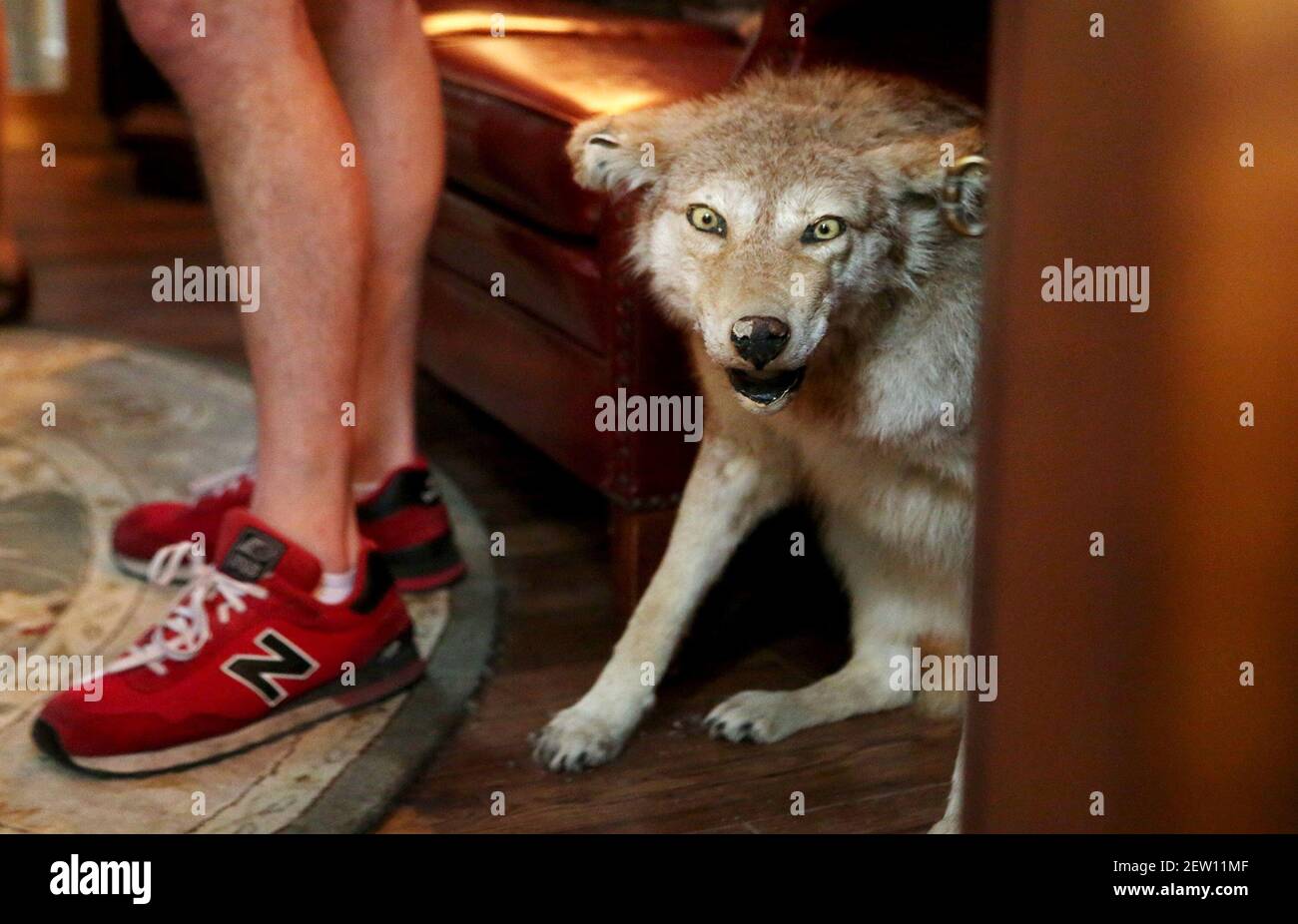Magician Matt Dunn's treehouse includes mounted animals. (Photo by