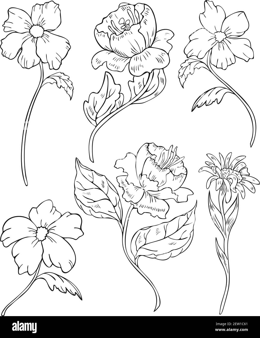 Vector illustration set of black and white blooming flowers. Flowers silhouettes design for coloring book. Stock Vector