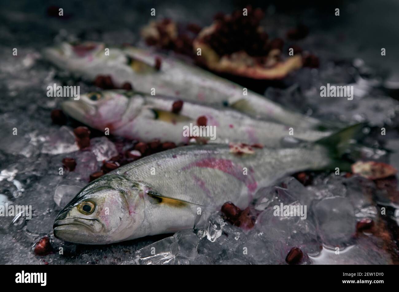 High angle of uncooked fish with eyes and fins between frozen ice cubes on table Stock Photo