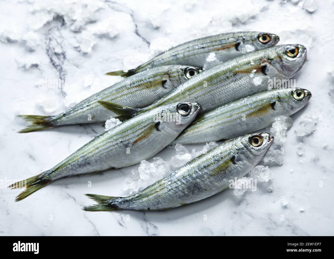 Shiny scales hires stock photography and images Alamy