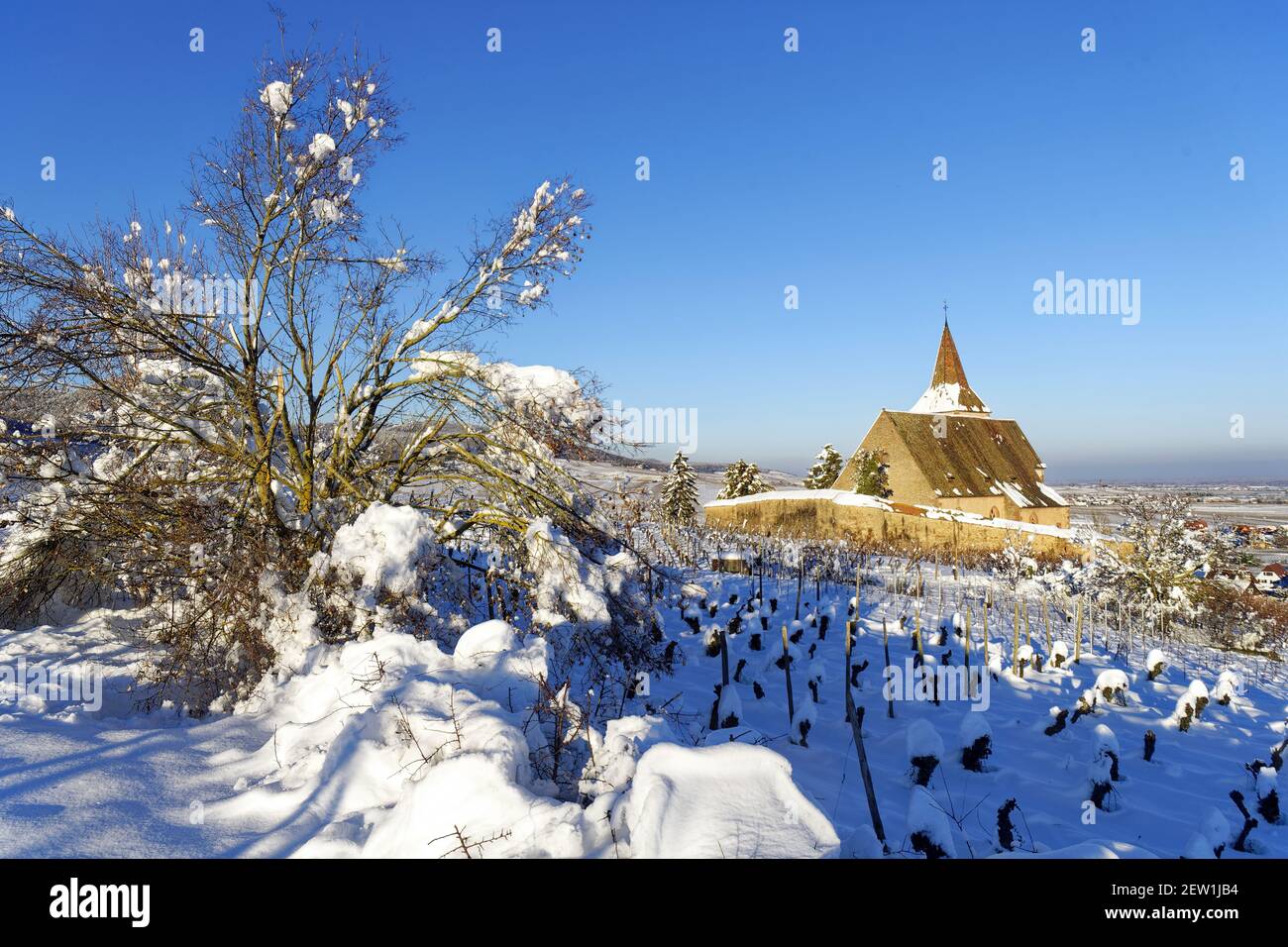 Haut Rin France, Haut Rhin, the Alsace Wine Route, Hunawihr, labelled Les Plus ...
