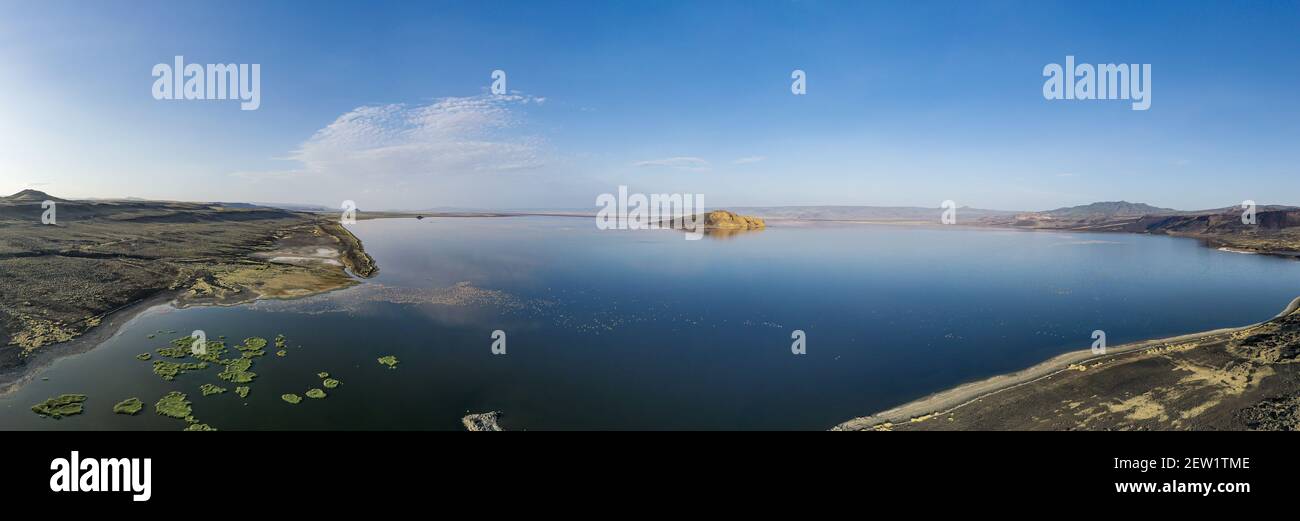 Kenya, Suguta valley, Logipi lake, lesser flamingos (Phoeniconaias ...