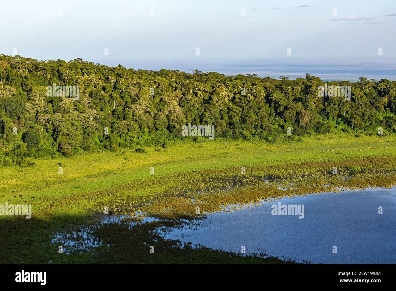 Kenya, Marsabit National Park, Paradise Lake Stock Photo