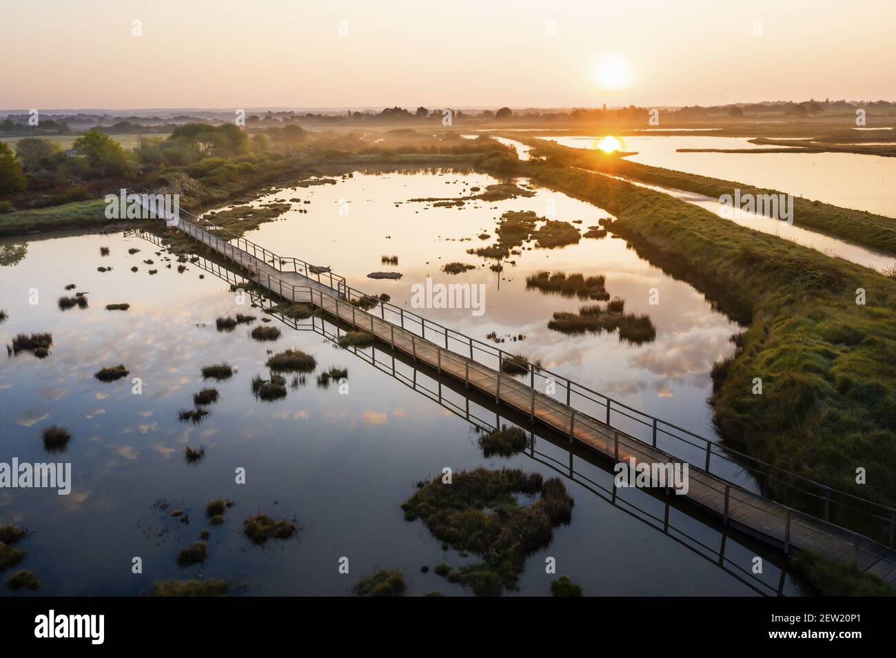 France, Morbihan, aerial view of the Séné marshes nature reserve at dawn (aerial view) Stock Photo