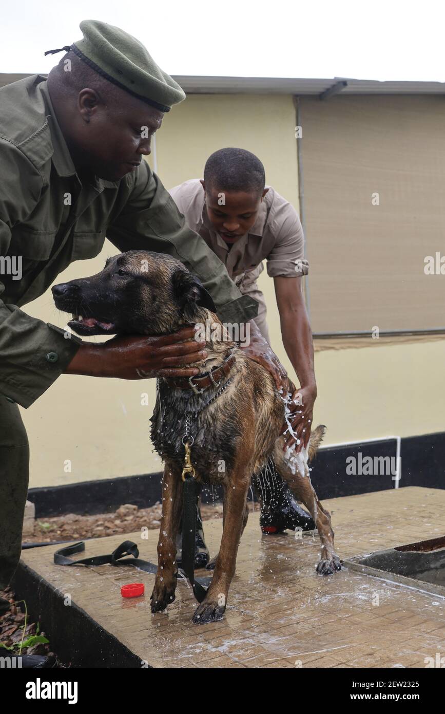 How Do You Bathe A Dog That Does Not Like Water