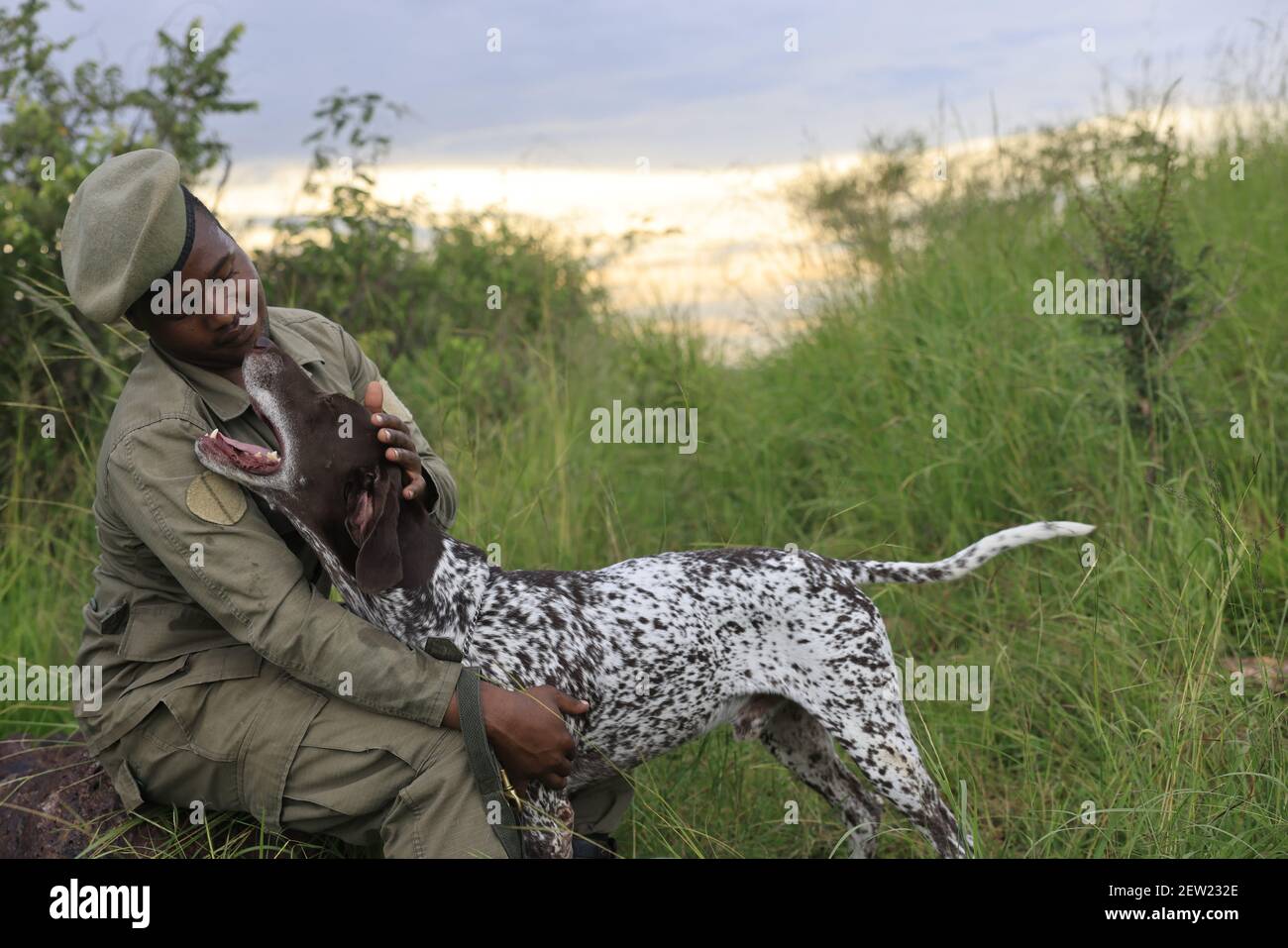 Tanzania, Serengeti National Park, Ikoma, The K9 unit is out, a little tender moment between the dogs and the handlers, there is a great bond between them, visible at all times of the day Stock Photo