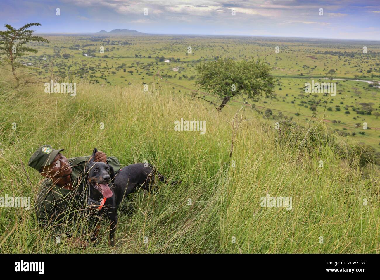 Tanzania, Serengeti National Park, Ikoma, The K9 unit is out, a little tender moment between the dogs and the handlers, there is a great bond between them, visible at all times of the day Stock Photo