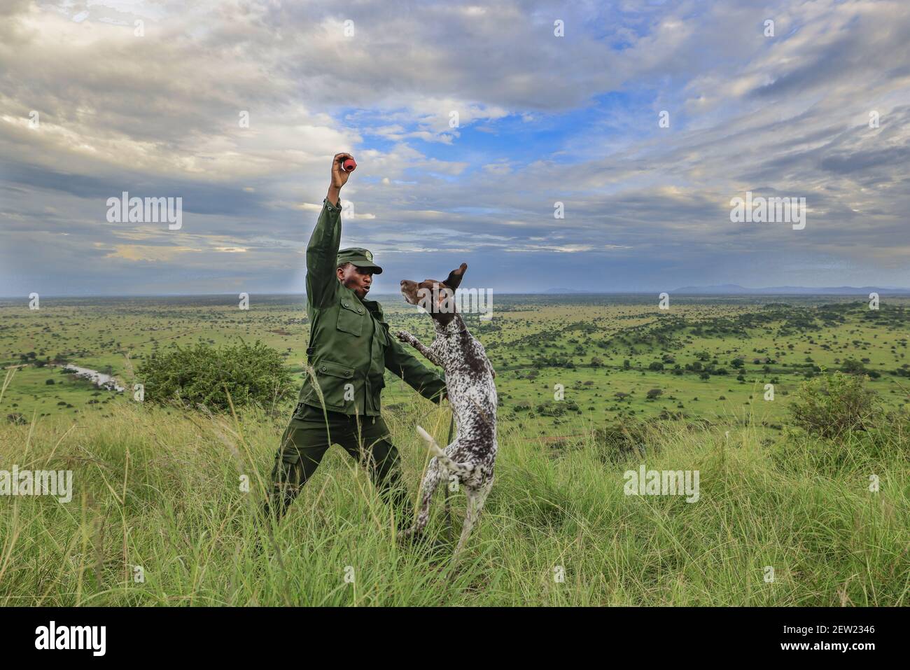 Tanzania, Serengeti National Park, Ikoma, The K9 unit is out, and Oscar and his dog handler Jamali take the opportunity to do some exercises, Oscar must grab the reward stick, which he prefers to any other reward, an opportunity for play and physical training Stock Photo