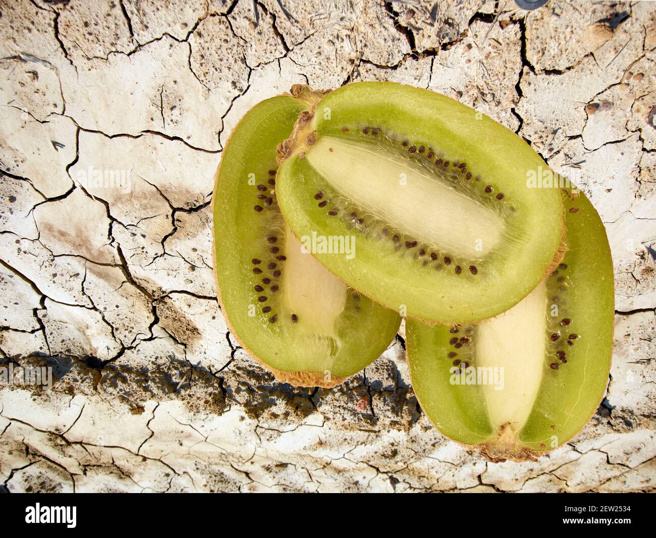 Intense fruit acid hires stock photography and images Alamy
