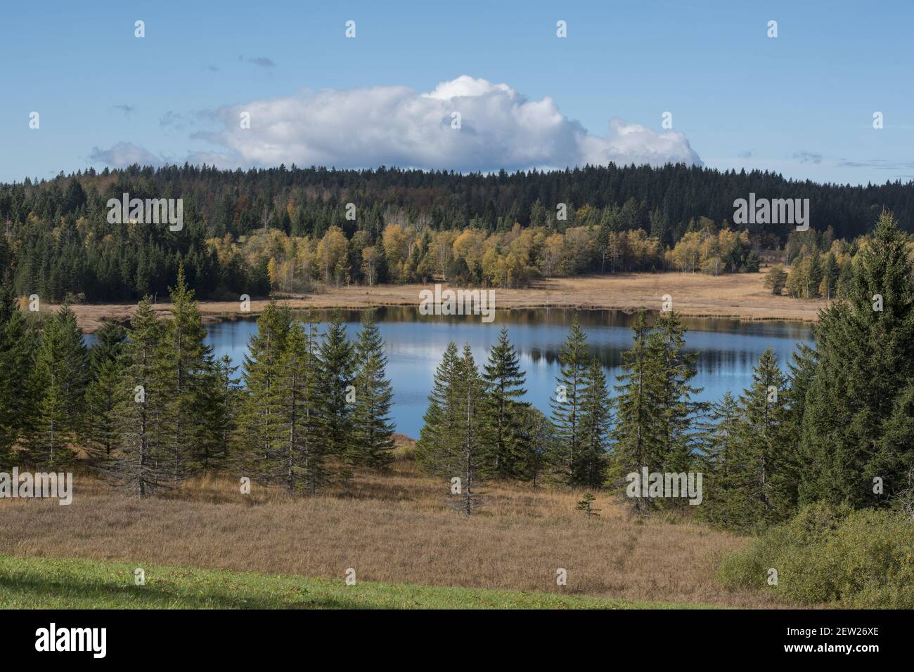 Bellefontaine lake hires stock photography and images Alamy