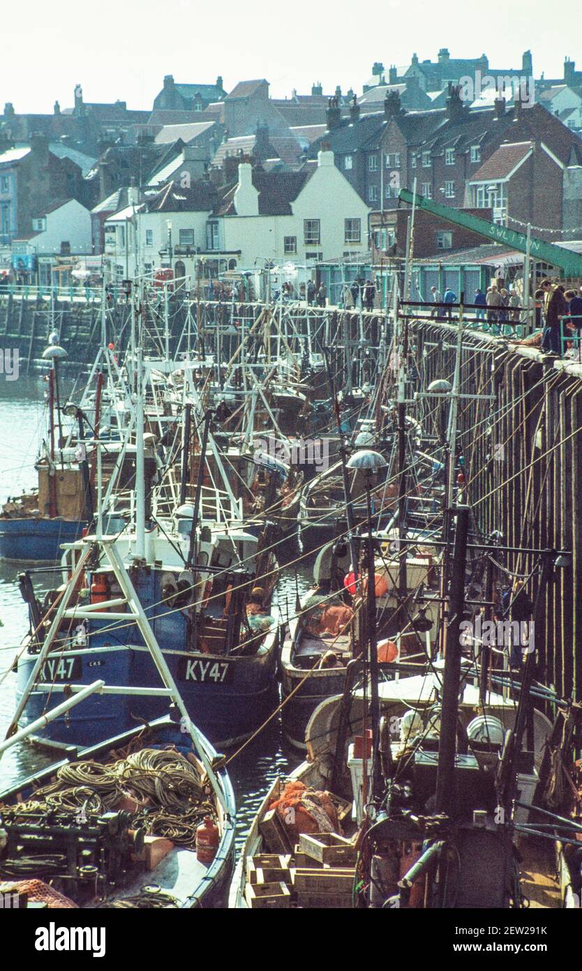 1978 Whitby harbour and fishing fleet of  boats and trawlers - The Fishing fleet at Whitby tied up at the fishing quay off loading a catch.The commercial catch is no longer herring but has been replaced by cod, haddock, and other fish caught within 12 miles of the coast. Whitby is a seaside town and port in the borough of North Yorkshire, England and is situated on the east coast of Yorkshire at the mouth of the River Esk. Whitby harbour with trawlers and small boats north yorkshire england uk gb europe Stock Photo