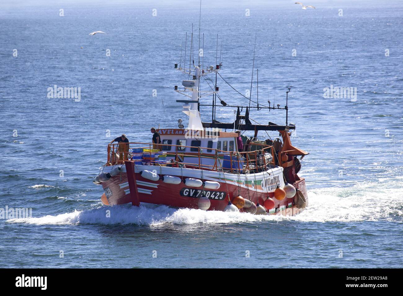 France, Finistère (29), Pays Bigouden, Le Guilvinec, premier port de pêche artisanale de France, 16h30 : Retour de pêche des chalutiers côtiers, Avel An Heol Stock Photo