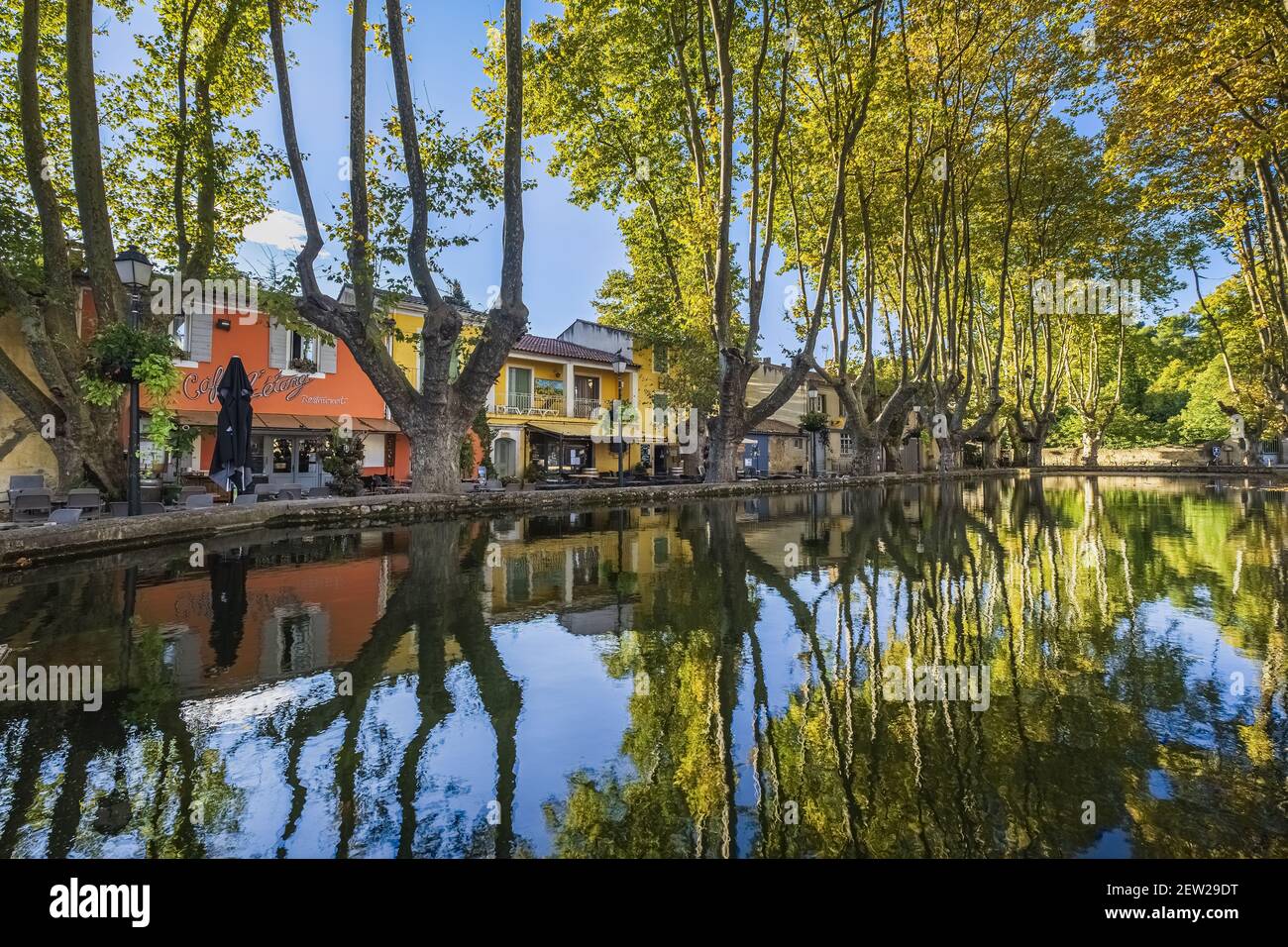 Very old plane trees hi-res stock photography and images - Alamy