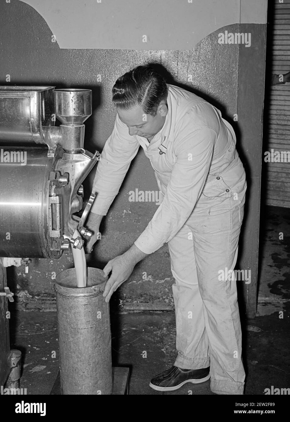 Filling can with ice cream mix. Creamery, San Angelo, Texas. Later it will be placed in freezer, November 1939 Stock Photo