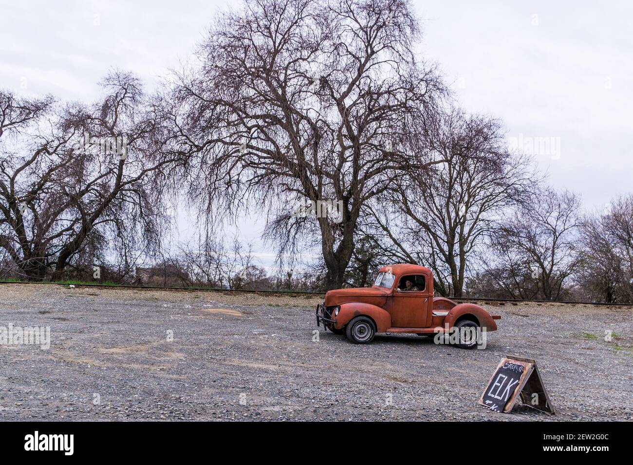 An old man in an old 1940 ford custom truck and a sign offering smoked Elk on the levee road of Sacramento River delta in Freeport California USA Stock Photo
