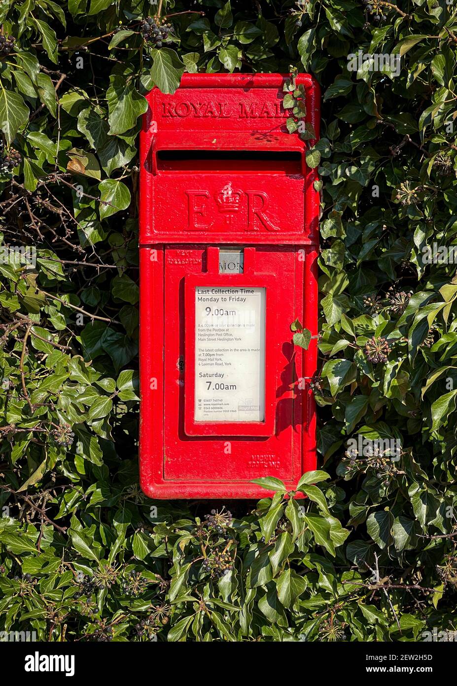 Red post box in hedge, Heslington, York, UK Stock Photo