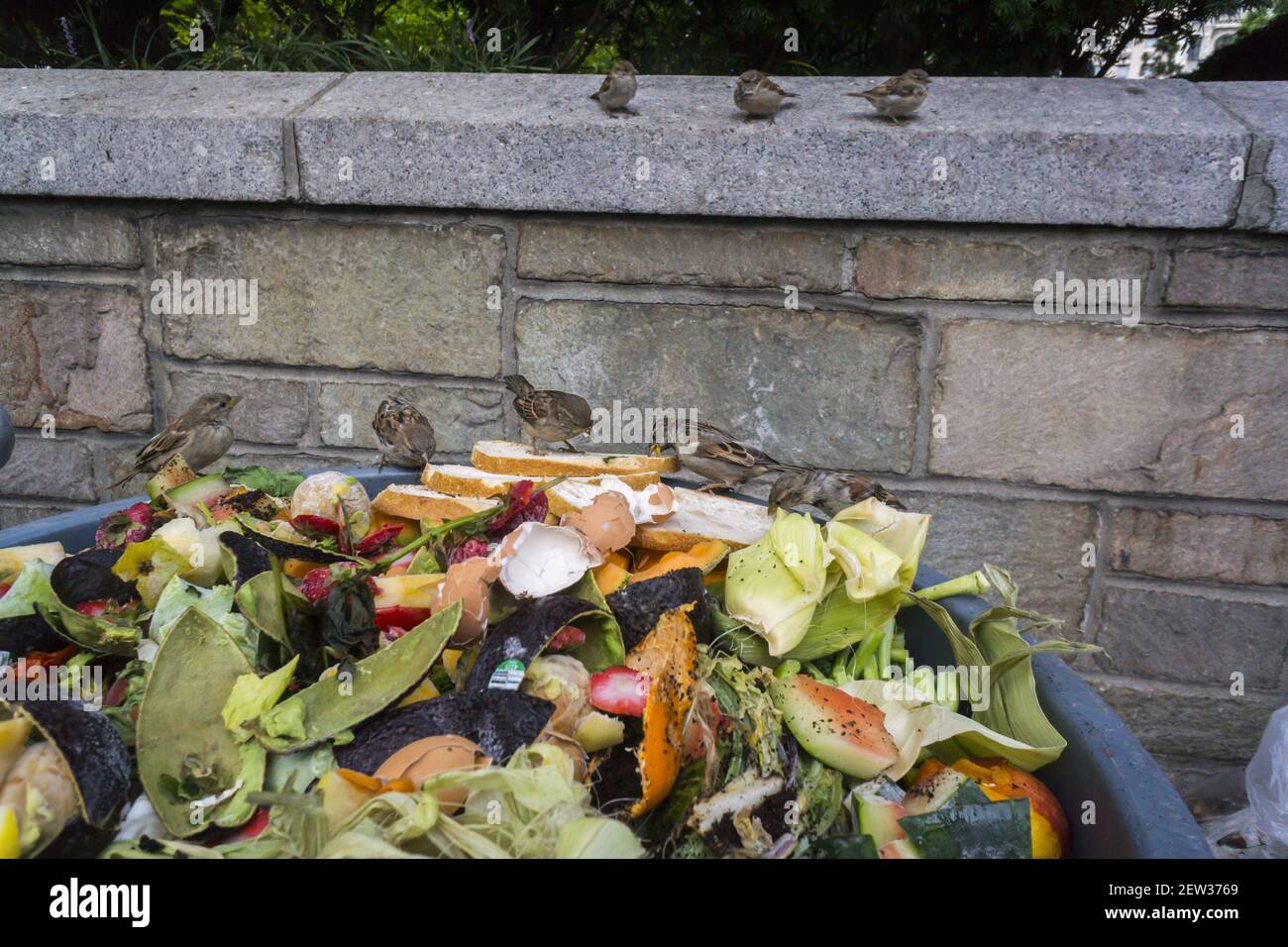 Compost collection at the Greenmarket in Union Square in New York on Saturday, September 2, 2017