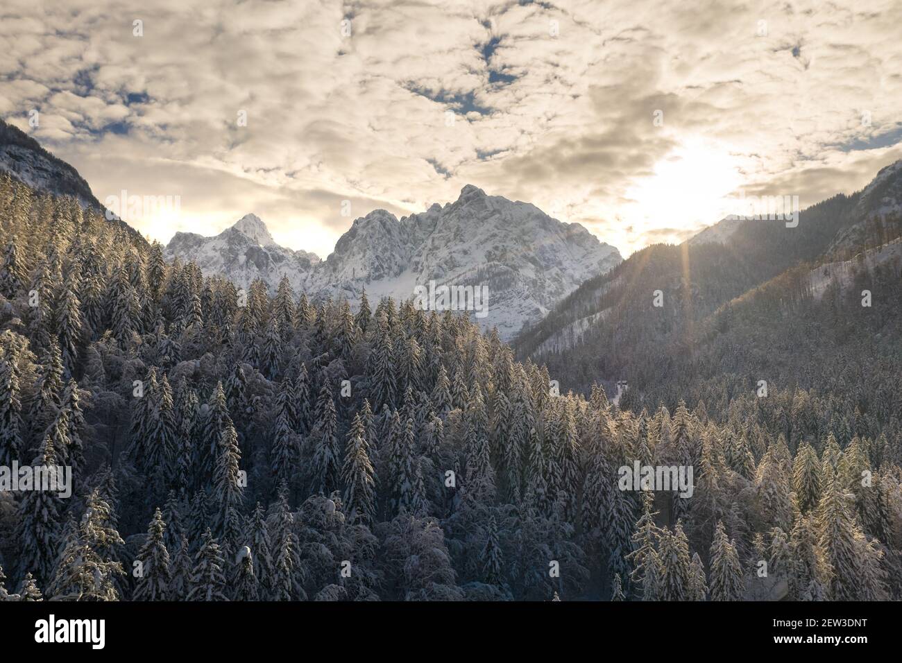 Aerial shot of beautiful winter mountain landscape. Drone moving above valley with snow capped pine forest. Stock Photo