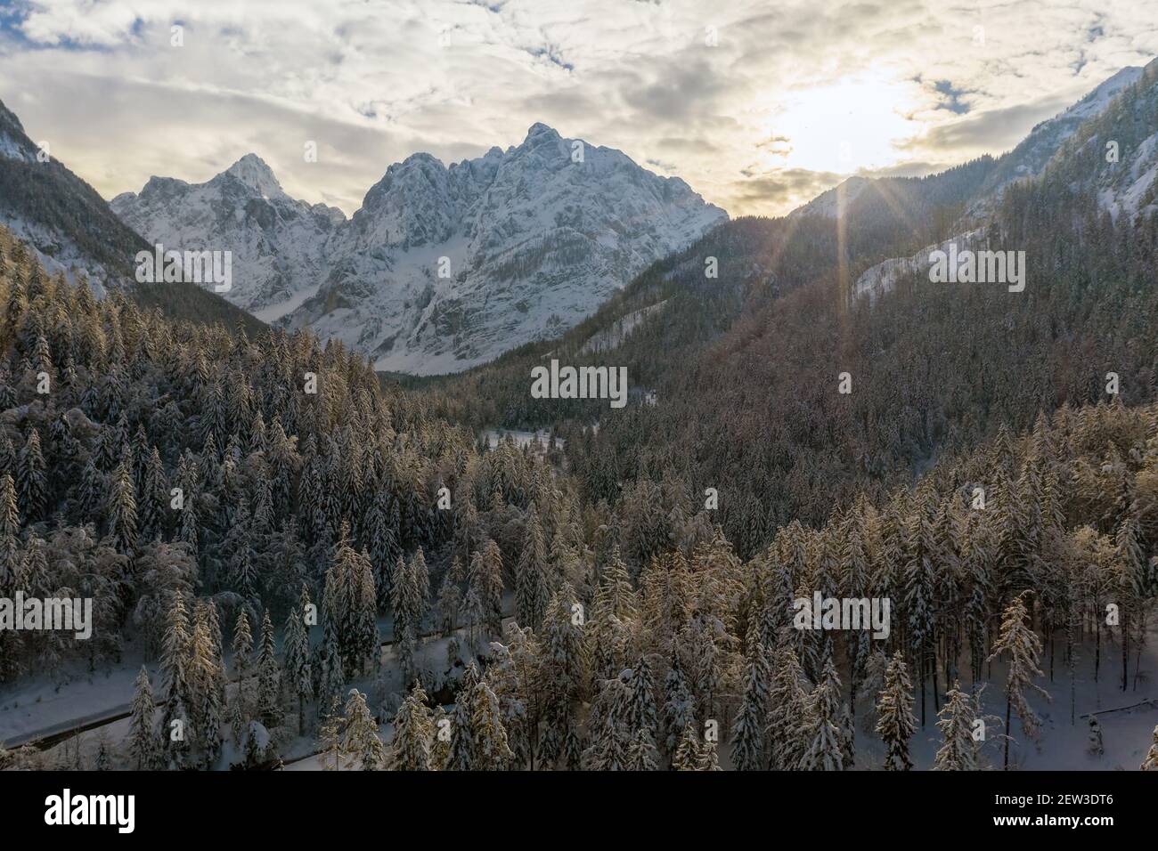 Aerial shot of beautiful winter mountain landscape. Drone moving above valley with snow capped pine forest. Stock Photo