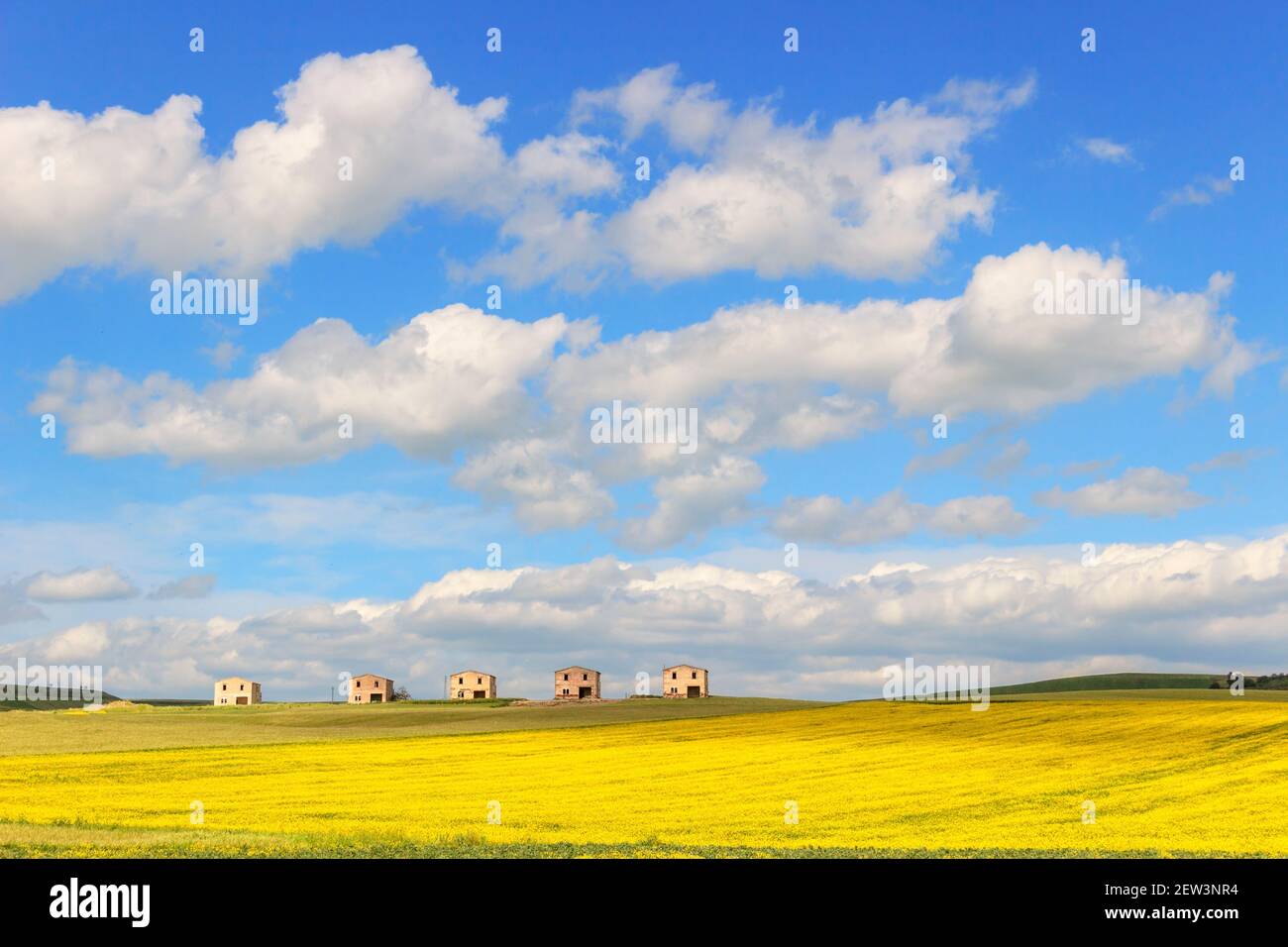 Between Apulia and Basilicata: farmhouses abandoned in a field of yellow flowers.Italy.Spring hilly rural landscape: farmhouses topped by clouds. Stock Photo
