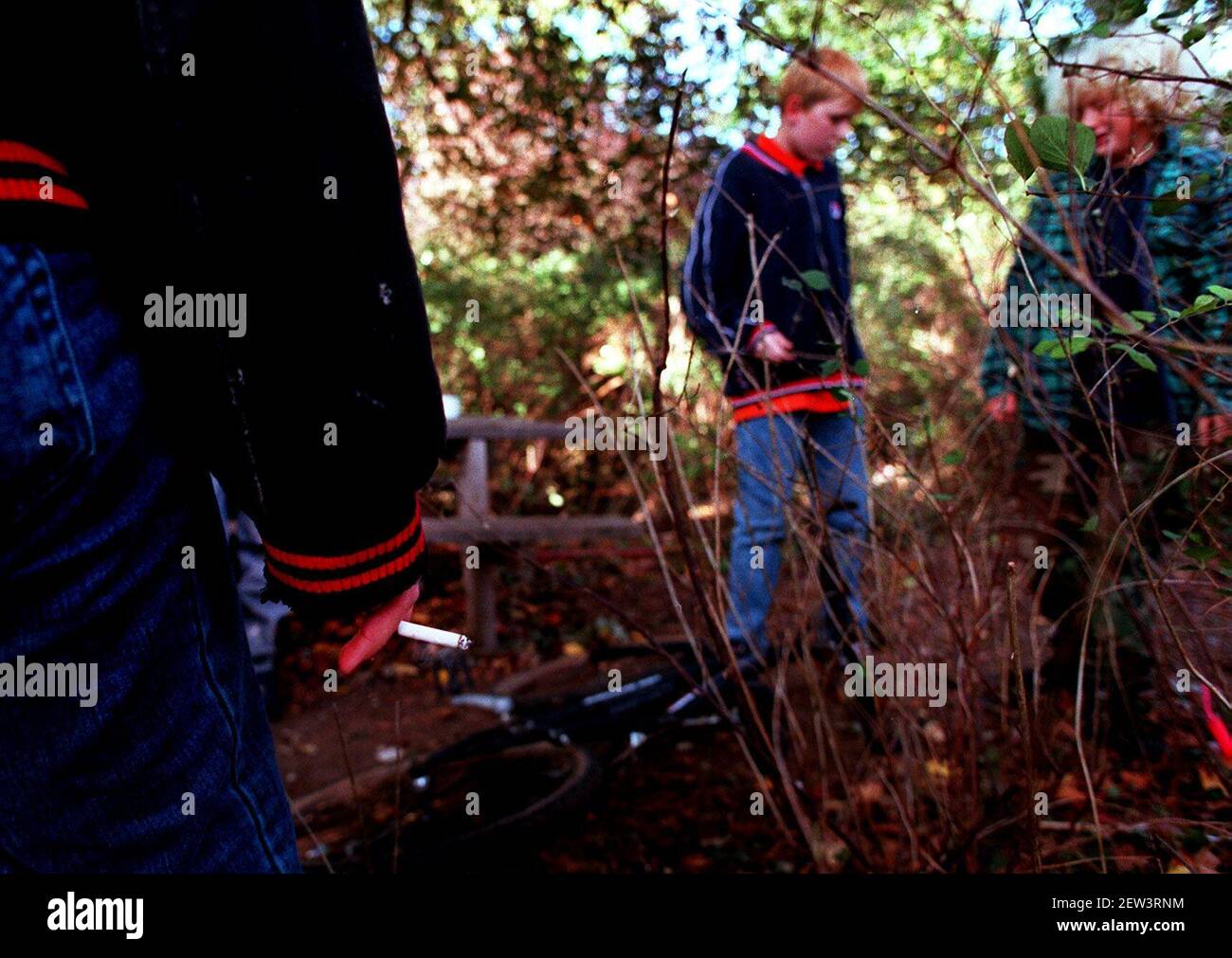 Summerhill School Leiston Suffolk Smoking is allowed in specified wooded areas away from the younger children Stock Photo