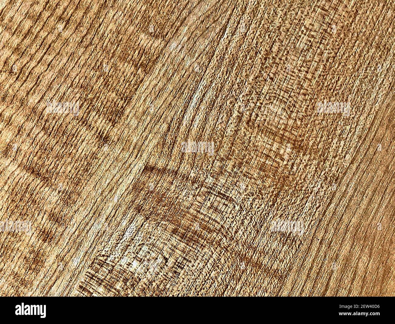 Timber knot hires stock photography and images Alamy