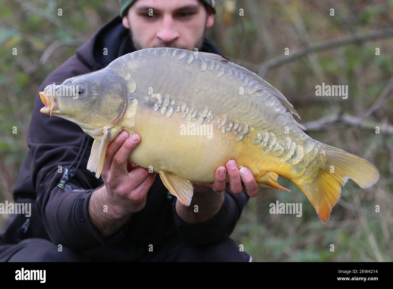 Big fish fishing competition hires stock photography and images Alamy