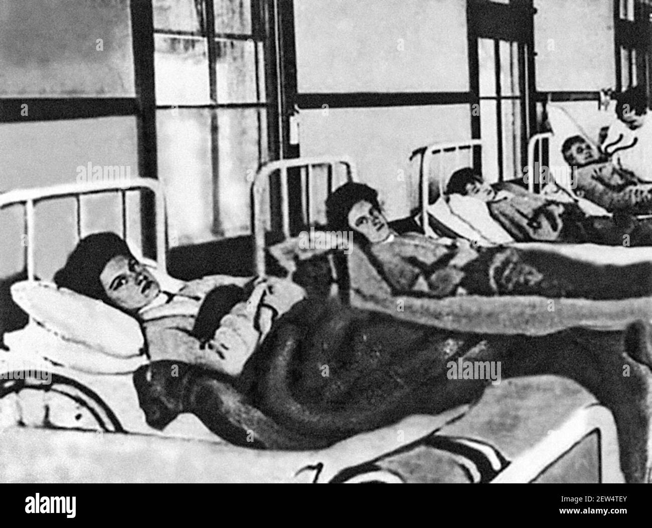 Typhoid Mary in a hospital bed (foreground), 1909. Photograph of Mary  Mallon (1869 -1938), also known as Typhoid Mary, who was an Irish-born cook  believed to have infected 53 people with typhoid