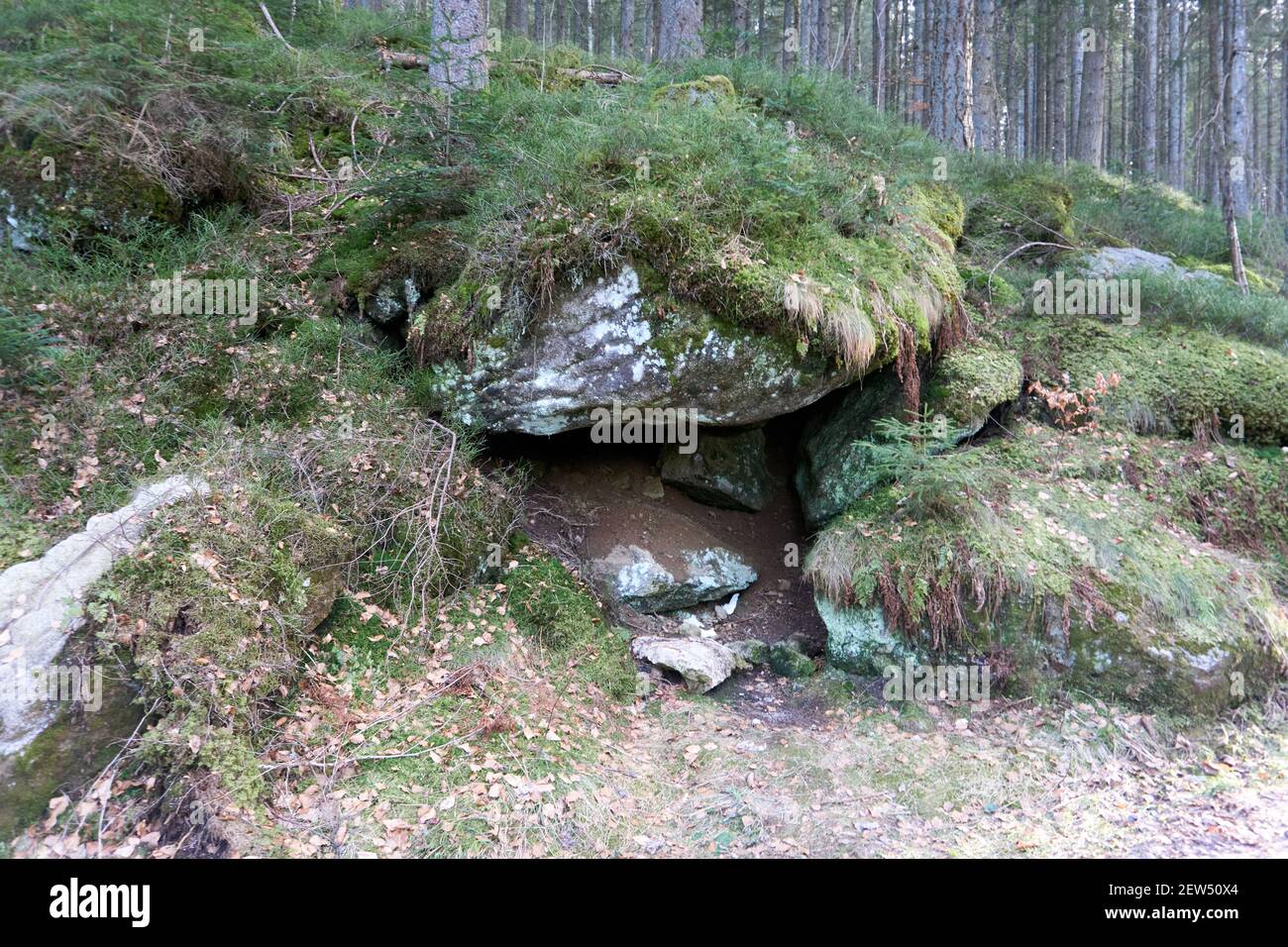 Closeup of huge rocks in a forest covered with green moss Stock Photo ...