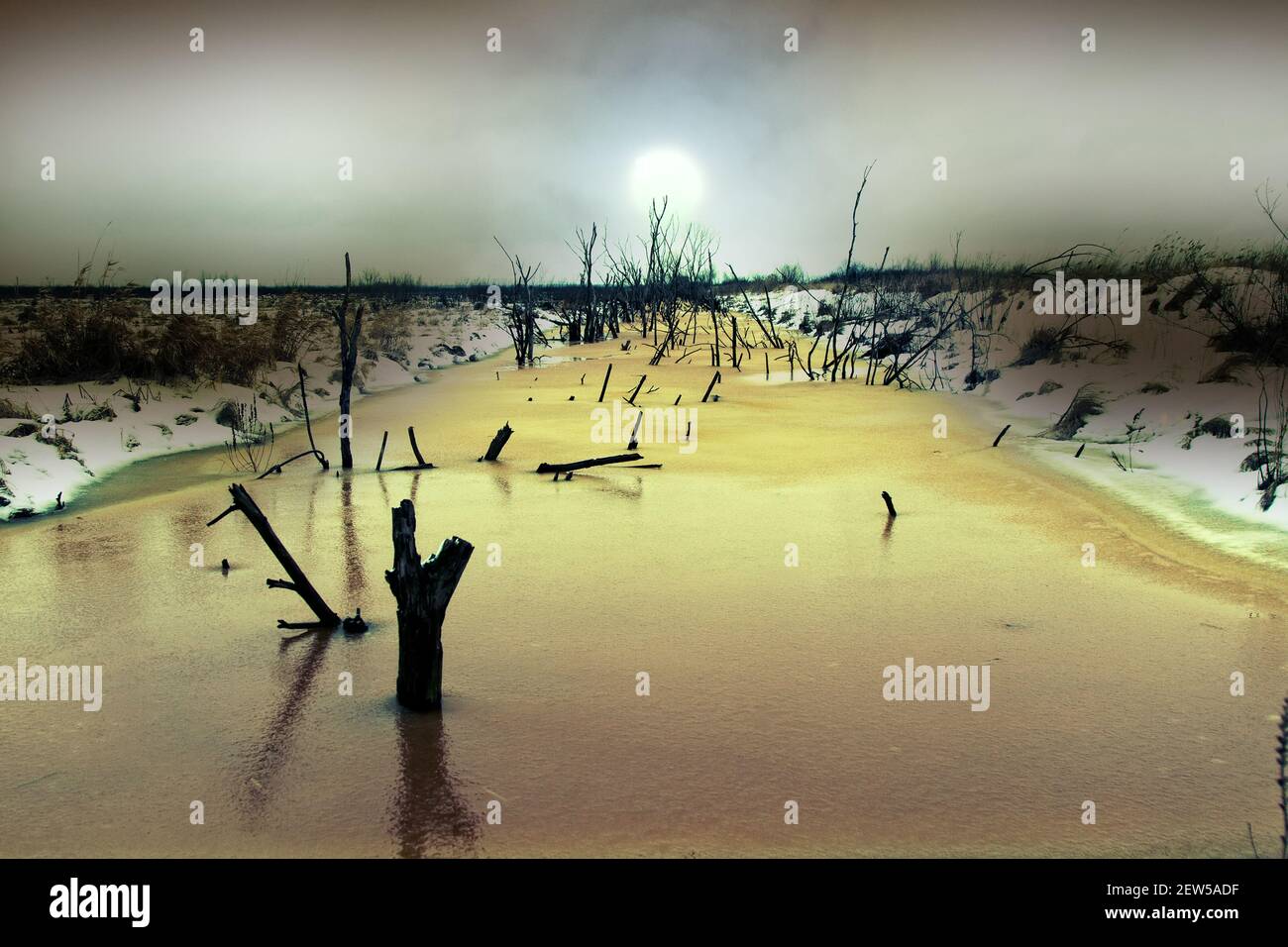 Winter views of lowland moor with yellow rotten ice, dry trees and ...
