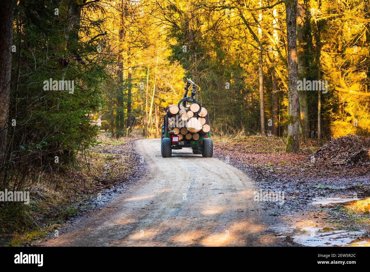 Kaiserwald, Austria 21.01.2020 Tractor in forest loaded with logs