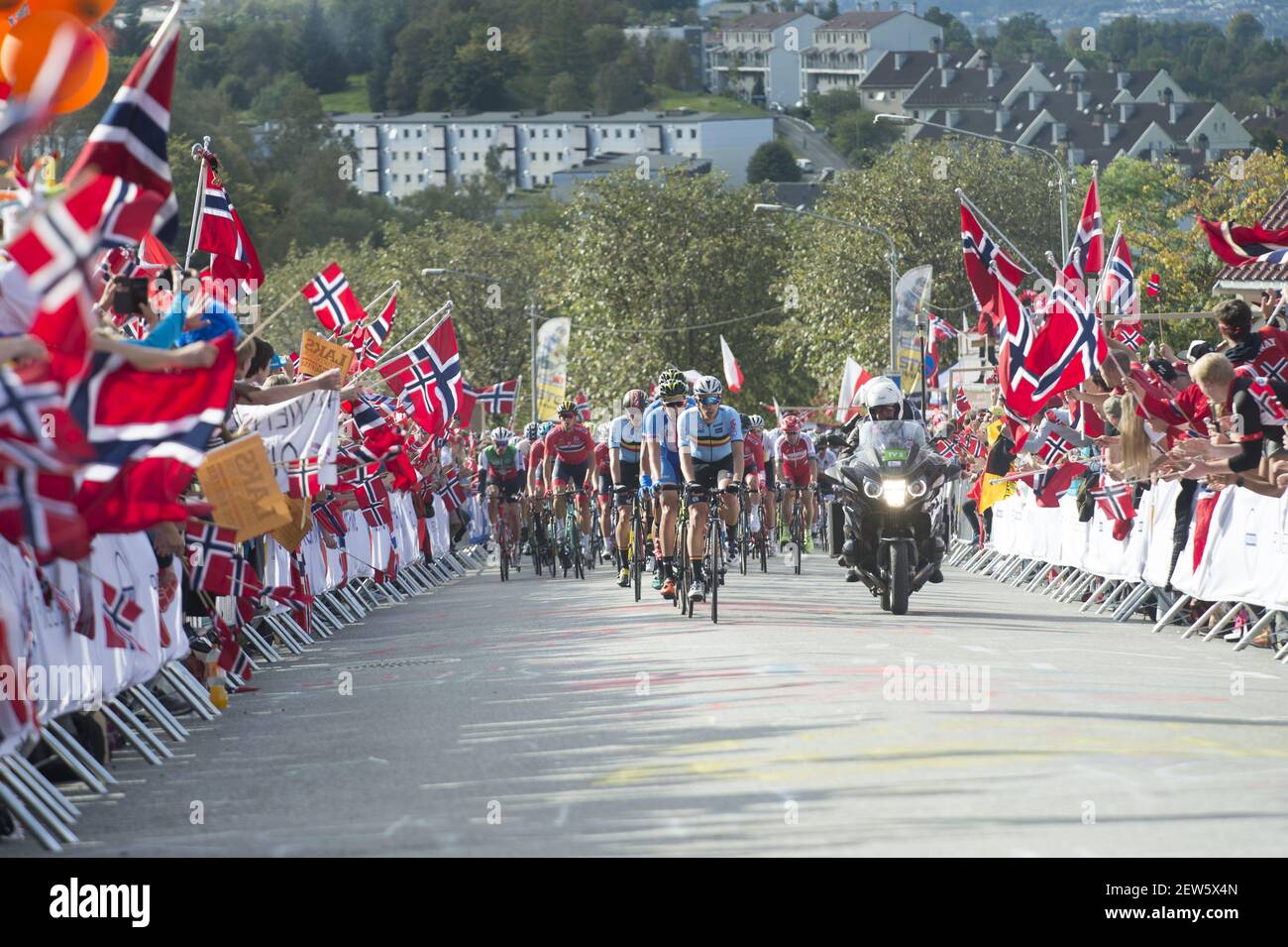 Norwegian flags greet riders, Men's road race, Bergen, Norway (Photo by