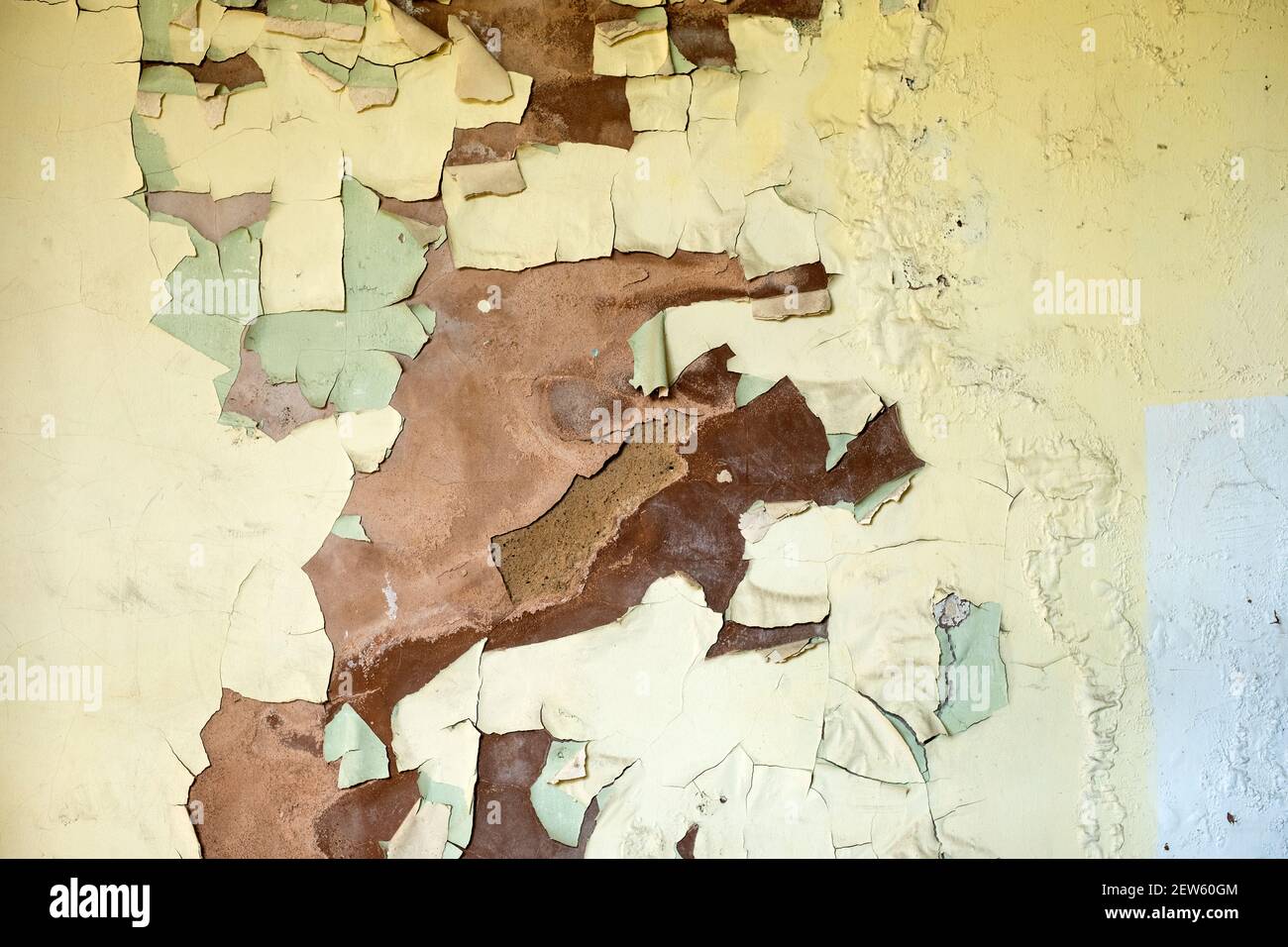 Paint peeling off a damp interior wall Stock Photo Alamy