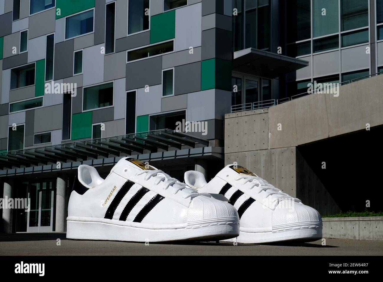 Superstar shoes are pictured at the Adidas North American headquarters in  Portland, Ore., on September 26, 2017. Adidas executive Jim Gatto, who  worked out of the Portland headquarters, was charged by the