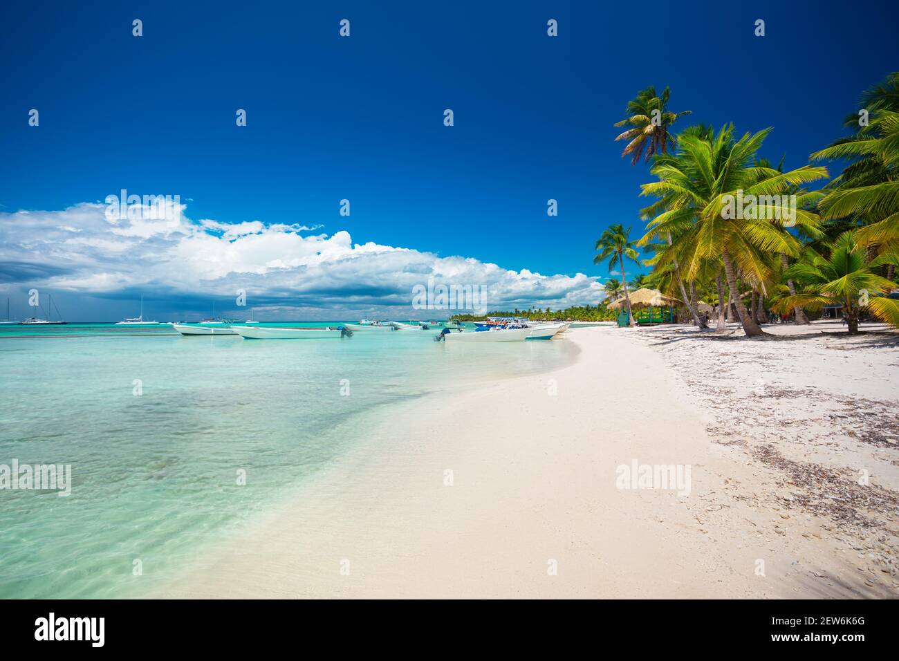 Tropical beach in Punta Cana, Dominican Republic Stock Photo - Alamy