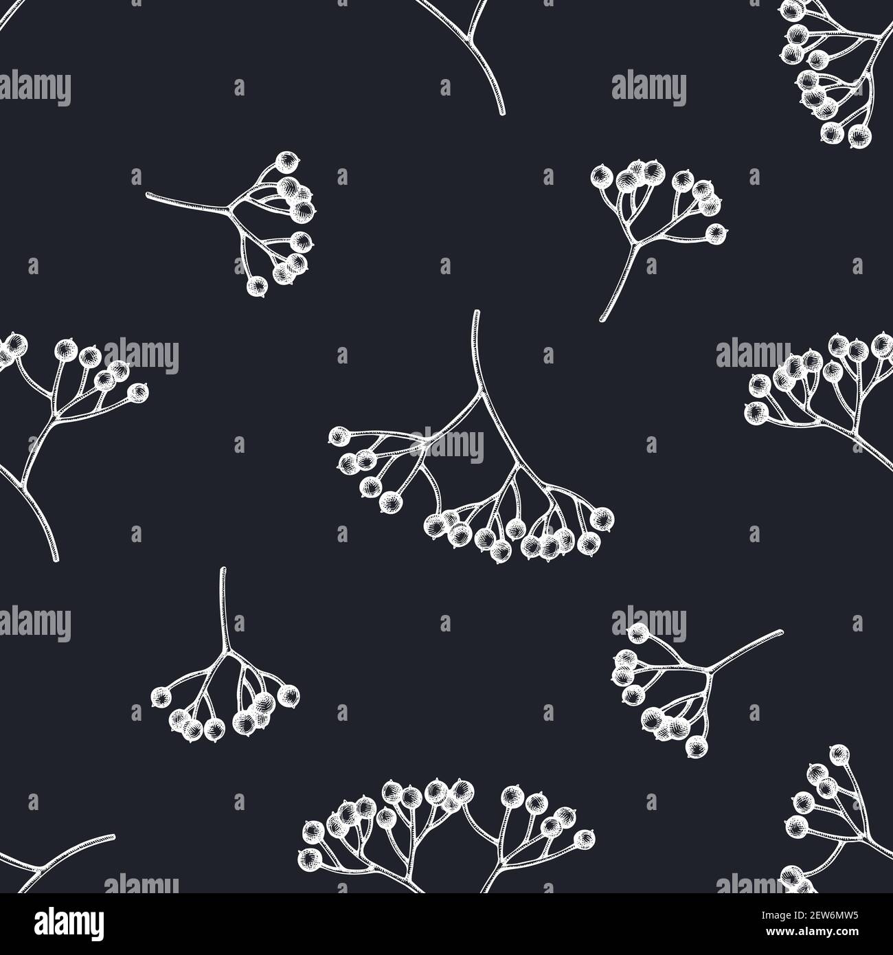 Seamless pattern with hand drawn chalk viburnum Stock Vector Image ...