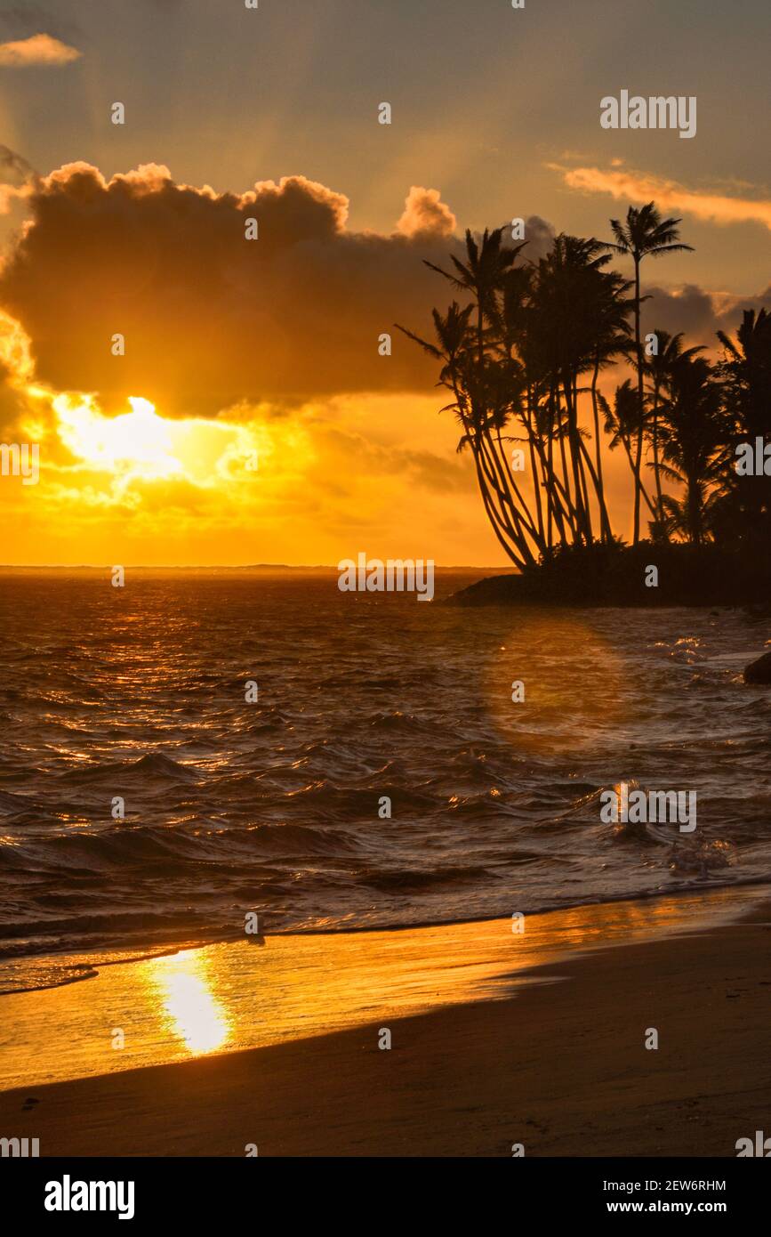 Sunrise over palm trees hi-res stock photography and images - Alamy