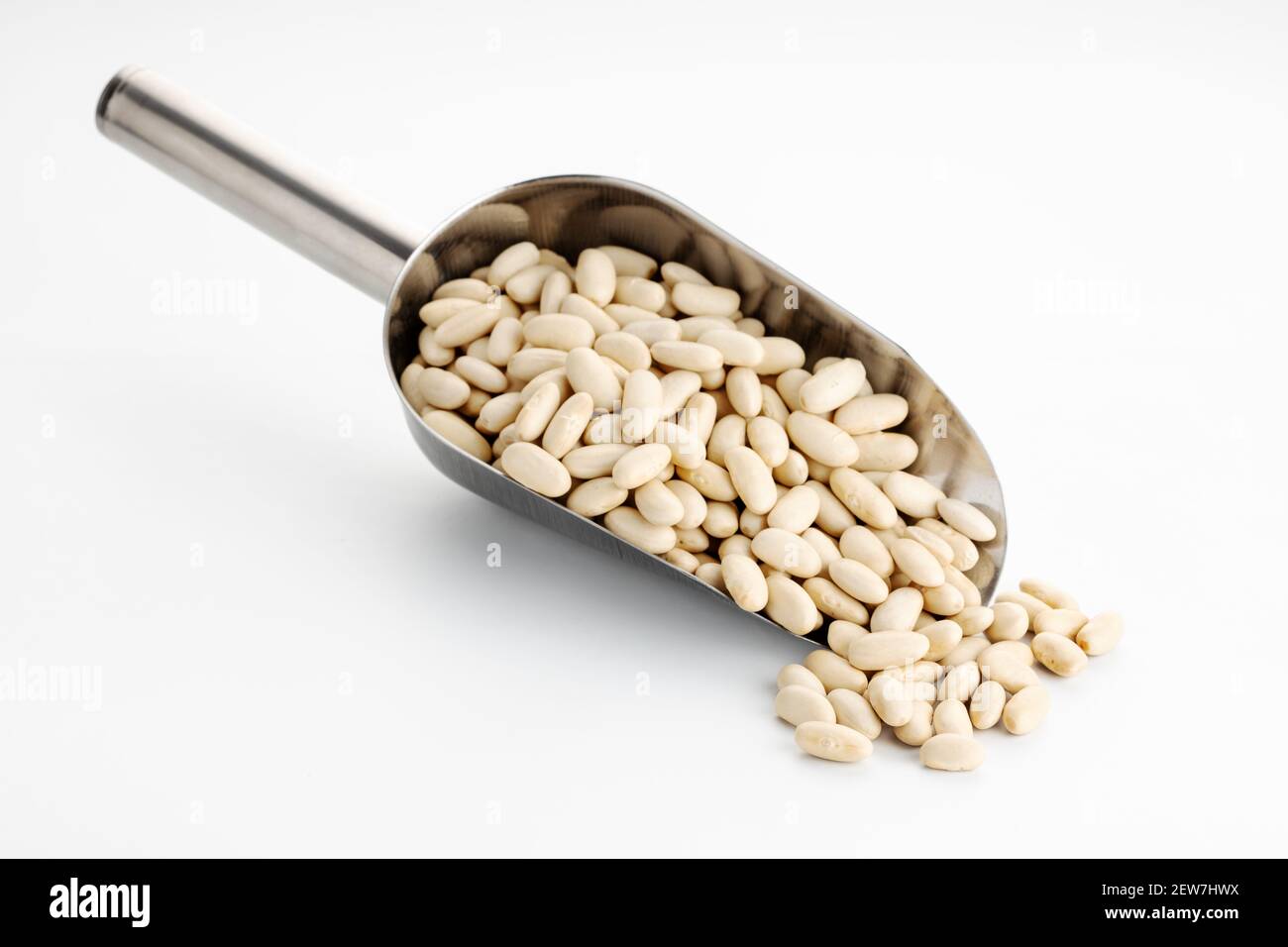 Navy beans on metallic scoop isolated on White table. Phaseolus vulgaris Stock Photo