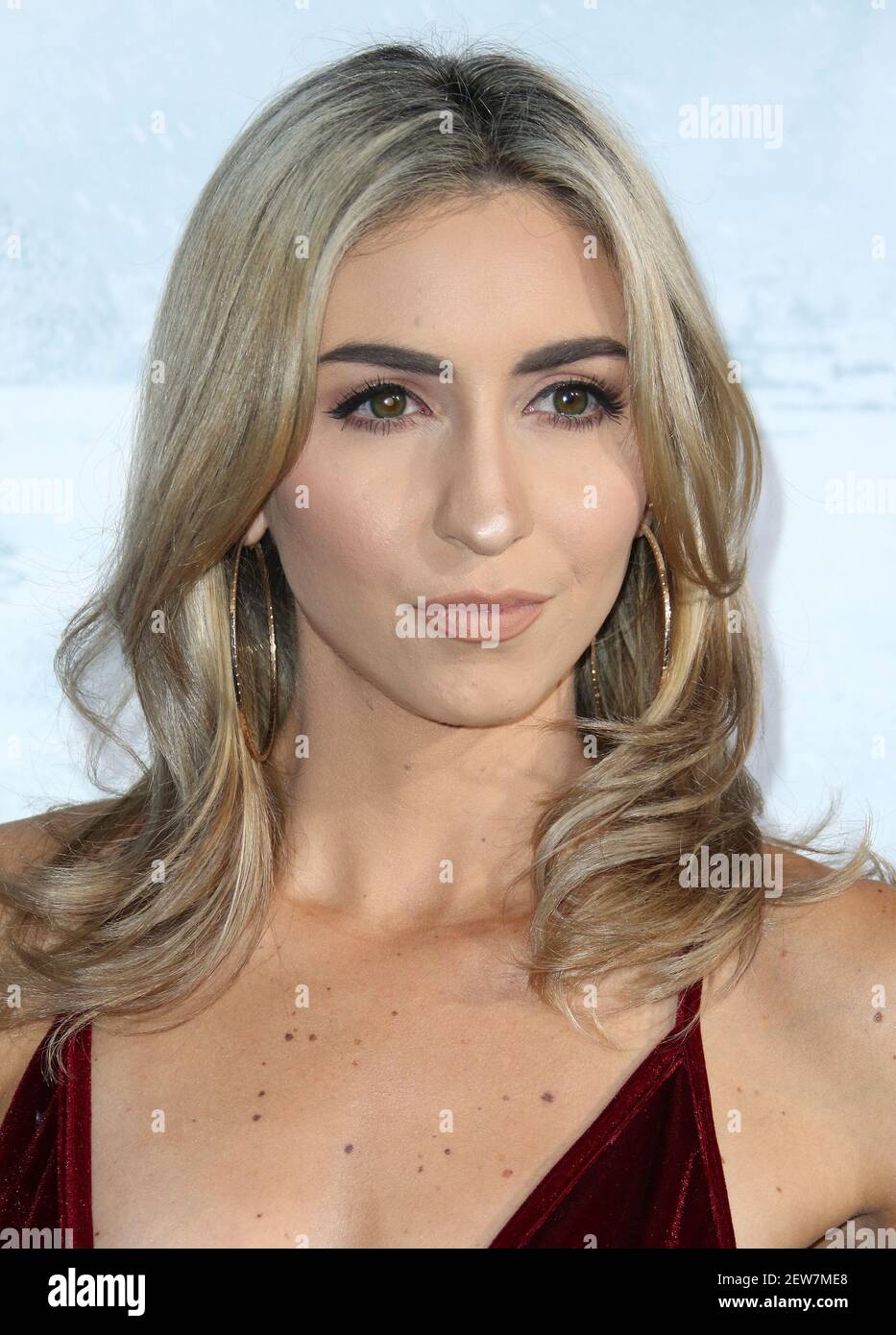 Brittany Williams at the Premiere Of Warner Bros. Pictures' "Geostorm