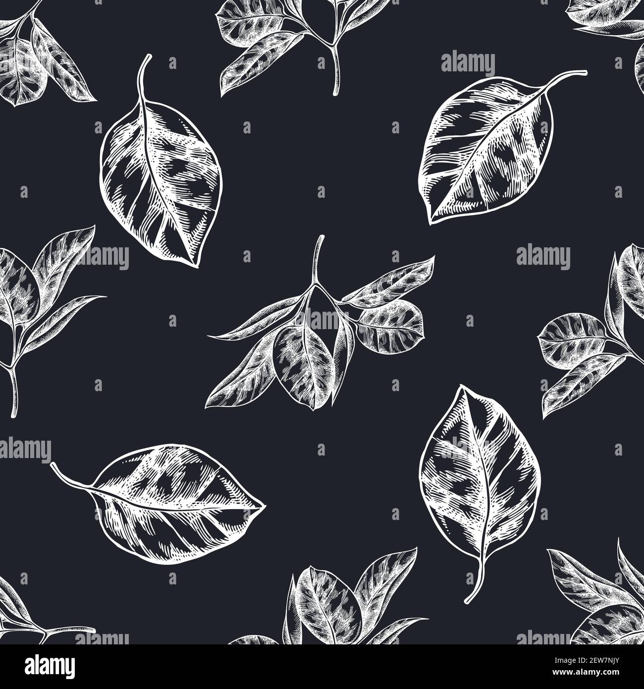Seamless pattern with hand drawn chalk ficus Stock Vector Image & Art ...
