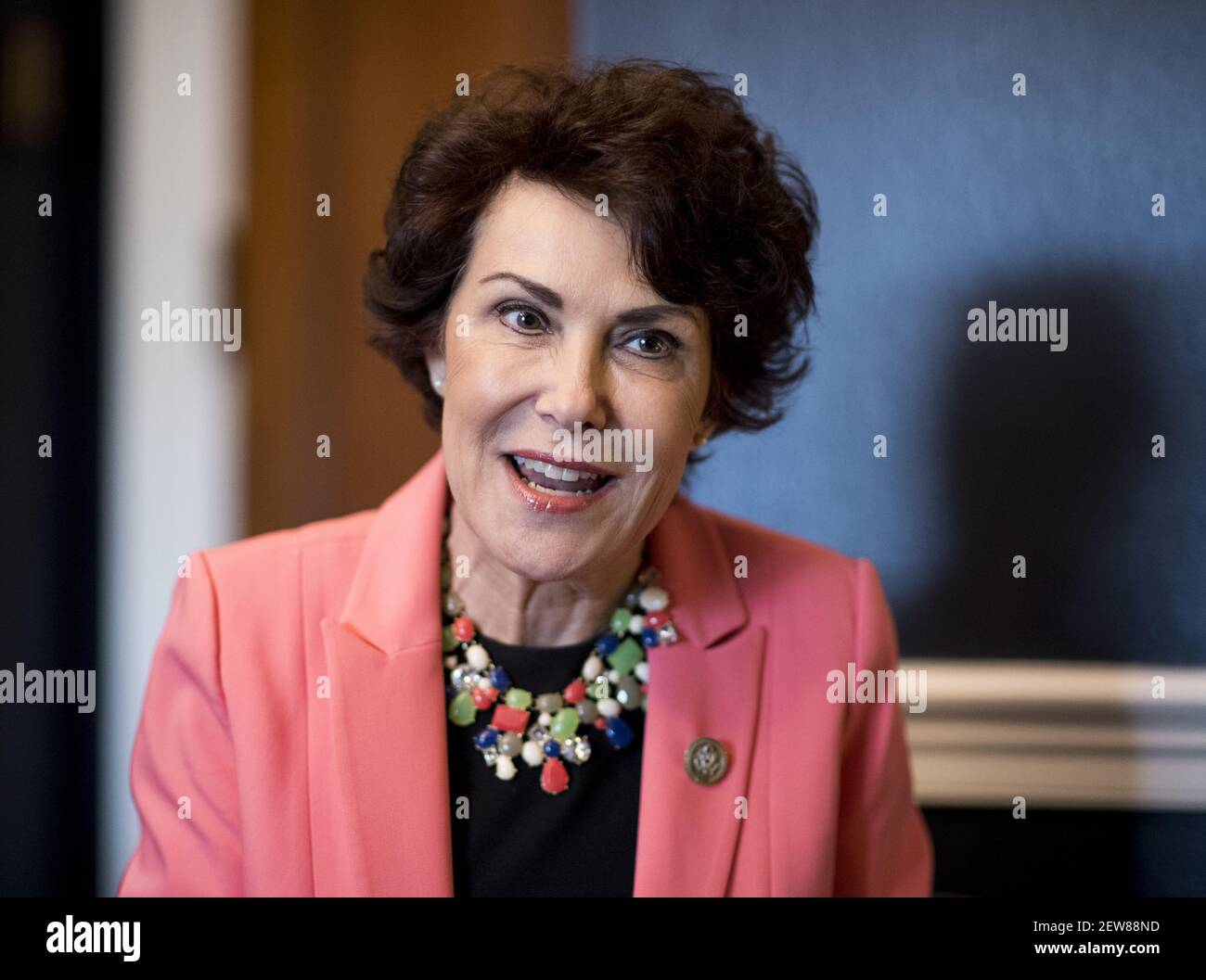 UNITED STATES - OCTOBER 26: Rep. Jacky Rosen, D-Nev., speaks with Roll Call in her office on Capitol Hill on Thursday, Oct. 26, 2017. (Photo By Bill Clark/CQ Roll Call) Stock Photo